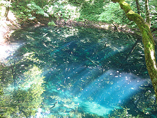 …むぅ、写真に収めるのは難しい(ぇ