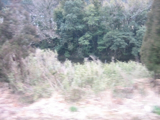 じぇんじぇん見えません(ぉ