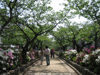 この直後、そこのカプールに写真を頼まれました(謎爆)