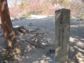 石垣の上にある天守閣跡