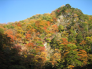 緑が残ってるのが惜しい(^^;