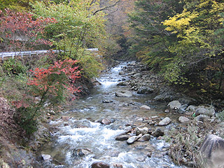 露出を抑えつつシャッタースピードを下げるのは…無理か?(ぇ