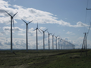 揃ってぐるんぐるん回ってるんですよコレが