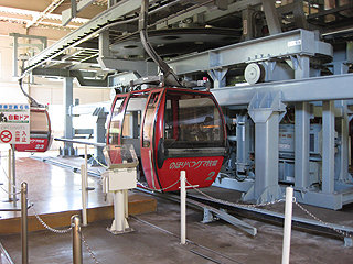 クマの運搬とかどうするんだろ…(^^;