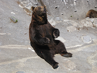 餌は売ってたけど買いませんでした(ぉ