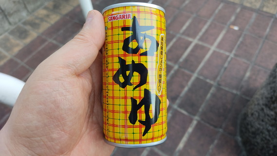 さすがにもう「初代熱血硬派くにおくん」は古いか(汗爆)